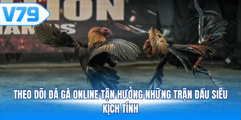 Theo dõi đá gà online tận hưởng những trận đấu siêu kịch tính